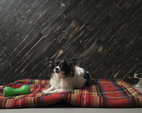 DIY Wood Panels Peel and Press 10.5 Sq. Ft. Deep Space