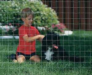 Red Brand 70742 Kennel Fence, 100 ft L, 48 in H, 2 x 2 in Mesh, 16 Gauge, Galvanized