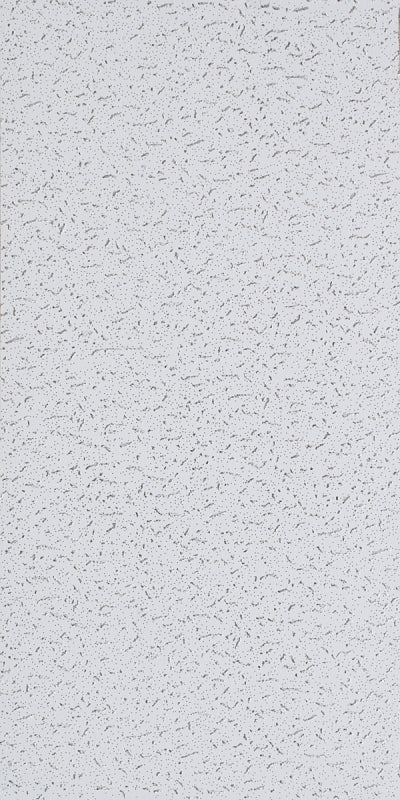 USG Fifth Avenue Series 280 CTN Ceiling Panel, 48 in L, 24 in W, 5/8 in Thick, Directional Fissured Pattern, White