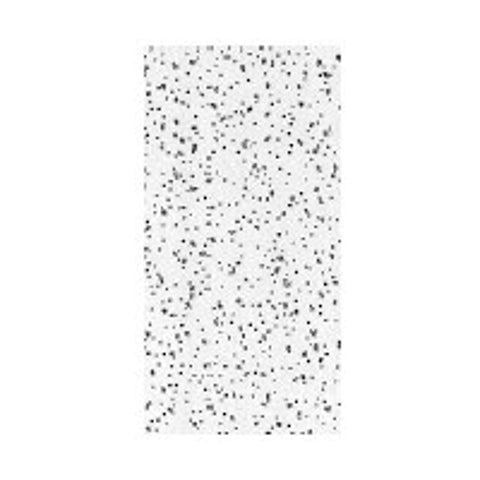 USG R2310/290 Ceiling Panel, 4 ft L, 2 ft W, 5/8 in Thick, Fiberboard, White