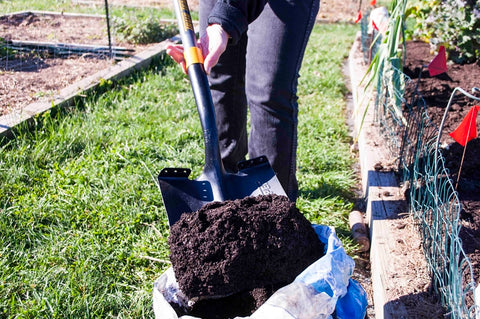 True Temper 2585500 Transfer Shovel, 9.67 in W Blade, 16 ga, Steel Blade, Fiberglass Handle, 47 in L Handle