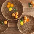 Shell Design Shop Home Decor