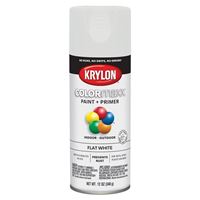 Krylon K05548007 Enamel Spray Paint, Flat, White, 12 oz, Can 