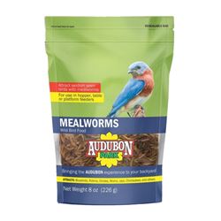 Audubon Park 12816 Mealworms, 8 oz 