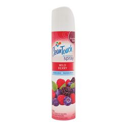 CleanTouch 9668 Air Freshener, 9 oz Can 