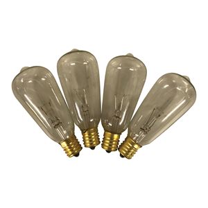 Hometown Holidays 19225 Light Bulb, Clear Light, Pack of 12