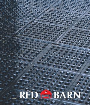 Red Barn 5608001 Interlocking Mat, Rubber, Black, Pack of 50