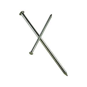 Simpson Strong-Tie S6SNDB Siding Nail, 6d, 2 in L, 304 Stainless Steel, Full Round Head, Annular Ring Shank, 25 lb