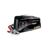 Schumacher SC1361 Battery Charger, 12 V Output, 2, 10, 50 A Charge 