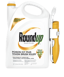 Roundup 5203910 Poison Ivy and Tough Brush Killer with Comfort Wand, Liquid, 1.33 gal 