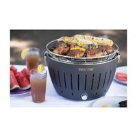 Grill Time TAILGATER GT UPG-G-13 Charcoal Grill, Anthracite Gray, Steel Body 