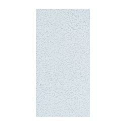 USG Fifth Avenue 220 Ceiling Panel, 4 ft L, 2 ft W, 5/8 in Thick, Mineral Fiber, White 