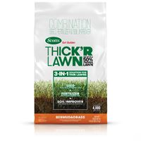Scotts 30178 ThickR Lawn Bermuda Grass Seed, 40 lb Bag 