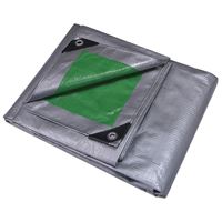 ProSource T1216GS140 Tarpaulin, 16 ft L, 12 ft W, 8 mil Thick, Polyethylene, Green/Silver 