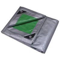 ProSource T1620GS140 Tarpaulin, 20 ft L, 16 ft W, 8 mil Thick, Polyethylene, Green/Silver 