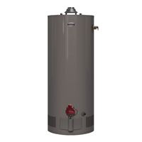 Richmond Essential Series 6G40S-31PF3 Gas Water Heater, Liquid Propane, 40 gal Tank, 65 gph, 31000 Btu/hr BTU 