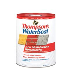 Thompsons Waterseal  Water-Based  Multi-Surface Waterproofer  Clear  Smooth  5 gal. 