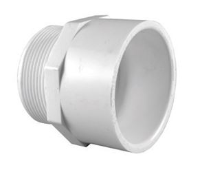Charlotte Pipe 3/4 in. Dia. x 3/4 in. Dia. Slip To MPT Pipe Adapter 