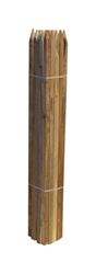 Bond Manufacturing Brown Wood Garden Stakes 4 ft. L x 3/4 in. W 