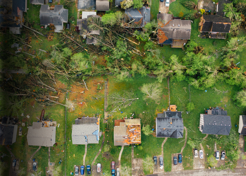 How to Protect Your Plants During a Hurricane