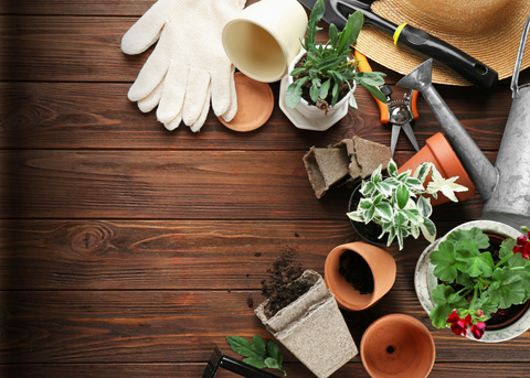 Start a Beautiful Florida Winter Garden with Shell Lumber!