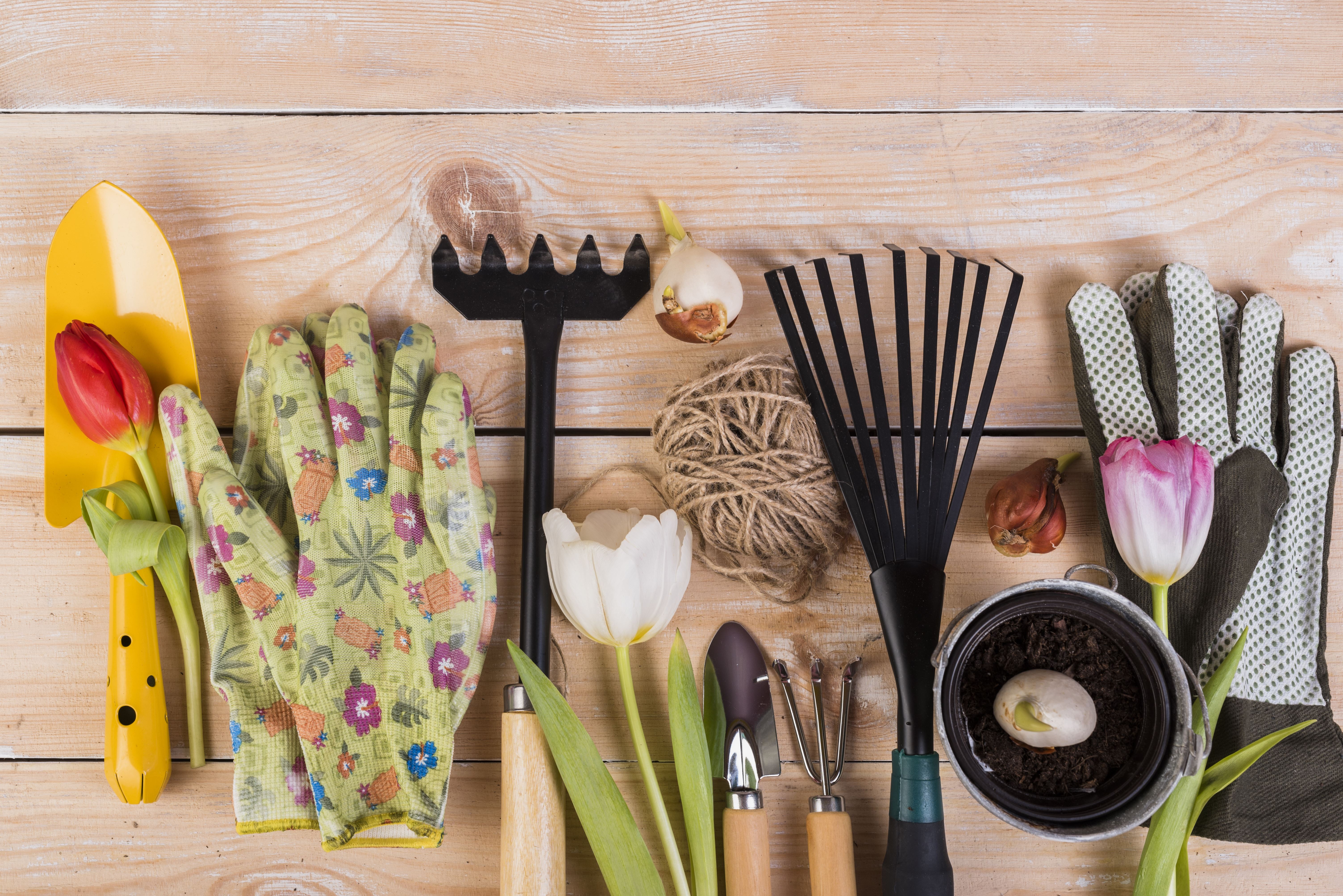 Spring Gardening Essentials – Shell Lumber and Hardware