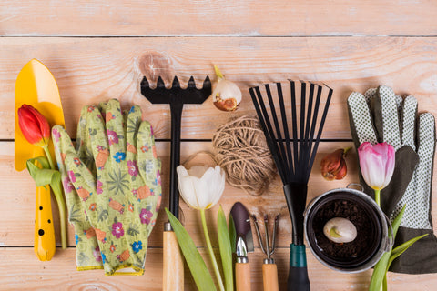 Spring Gardening Essentials