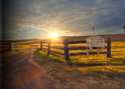 Farm and ranch tools, fencing supplies, and livestock care products for agricultural operations.