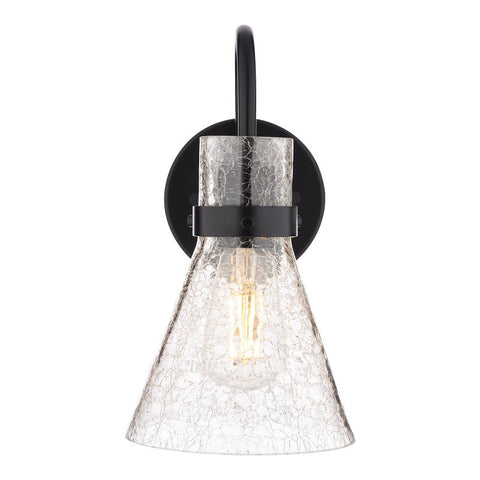Boston Harbor D2021021, 120 V, 60 W, 1-Lamp, Metal Fixture, Black Fixture, Matte Fixture