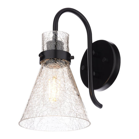 Boston Harbor D2021021, 120 V, 60 W, 1-Lamp, Metal Fixture, Black Fixture, Matte Fixture