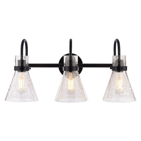Boston Harbor D2021022, 120 V, 60 W, 3-Lamp, Metal Fixture, Black Fixture, Matte Fixture