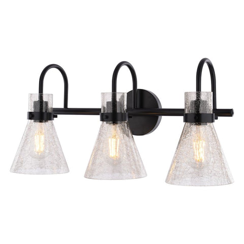 Boston Harbor D2021022, 120 V, 60 W, 3-Lamp, Metal Fixture, Black Fixture, Matte Fixture