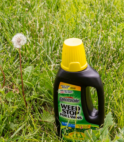 Spectracide WEED STOP HG-96540 Lawns Concentrate, Liquid, Spray Application, 32 fl-oz Bottle