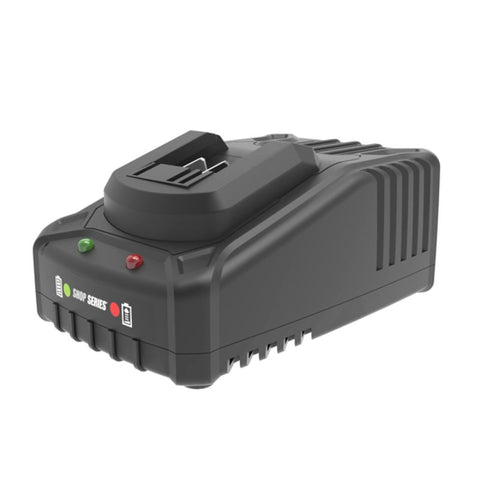 ShopSeries SS9969 Charger, 20 V, 2 A Charge