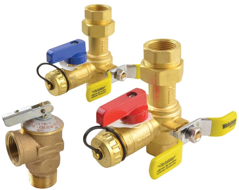 Richmond RTG20326 Tankless Service Valve Kit, Brass