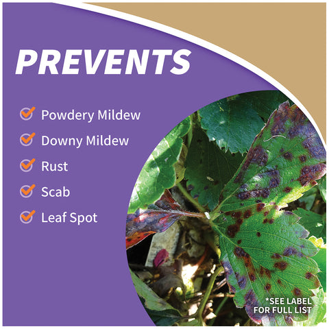 Bonide Bon-Neem II Organic Insect, Disease & Mite Control For Insects and Fungus 1 qt.