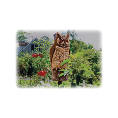 Dalen Great Horned Owl For Birds Animal Repellent 16 in.