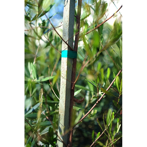 Bond Manufacturing Green Tape Ties 150 ft. L x 1/2 in. W