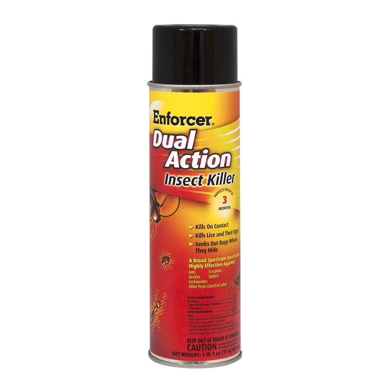 Enforcer 1047651 Insect Killer, Liquid, Spray Application, 17 oz Can ...