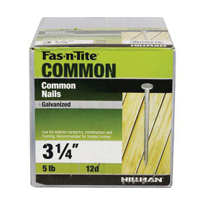 Ace Flat 3-1/4 in. L Common Nail Smooth Hot-Dipped Galvanized Steel 5 lb.