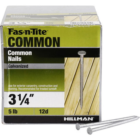 Ace Flat 3-1/4 in. L Common Nail Smooth Hot-Dipped Galvanized Steel 5 lb.
