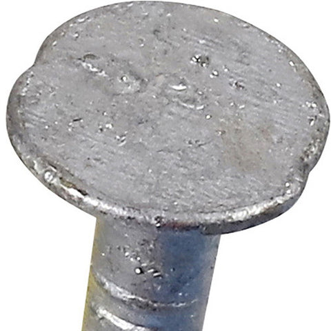 Ace Flat 1-1/4 in. L Box Nail Thin Hot-Dipped Galvanized Steel 1 lb.