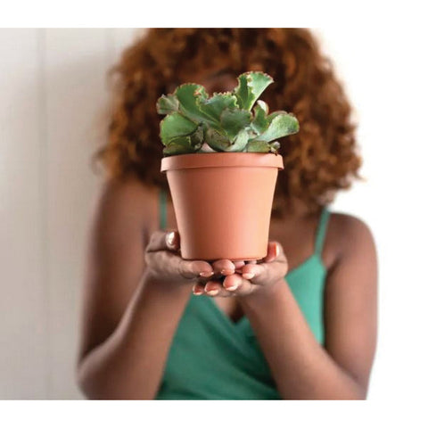 Bloem Terrapot Terracotta Clay Resin Traditional Planter 17.2 in. H x 20 in. W