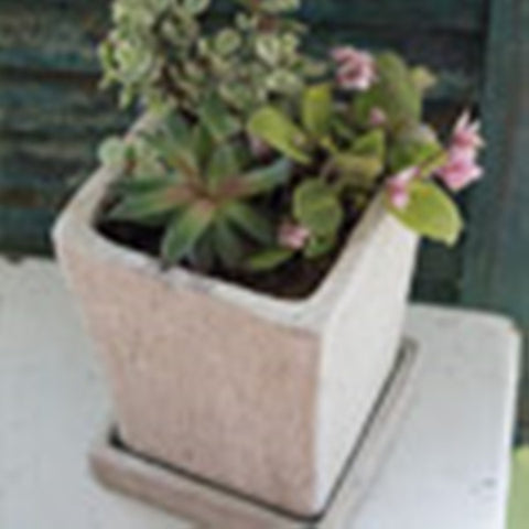 Syndicate Home & Garden Slate Concrete Tapered Square Planter 5-1/2 in.