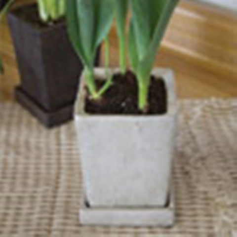 Syndicate Home & Garden Slate Concrete Tapered Square Planter 5-1/2 in.