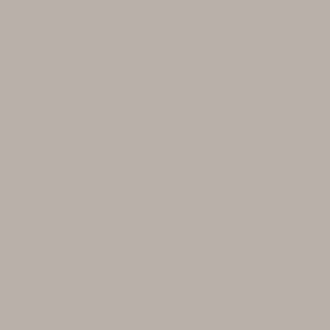 Samplize Benjamin Moore Silver Fox Peel & Stick Color Sample 2108-50, Pack of 8