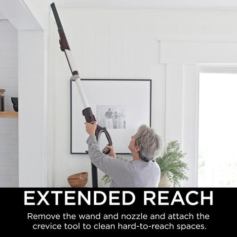 Shark Bagless Corded HEPA Filter Upright Vacuum – Shell Lumber and Hardware
