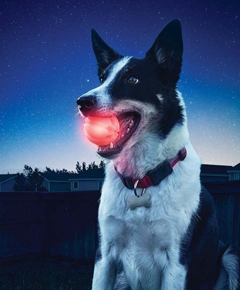 Nite Ize GlowStreak Series GSB-07-R7 Dog Toy, Ball