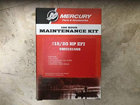 Mercury 8M0151469 100-Hour Service Kit 15-20 EFI 4STR