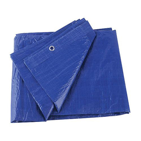 TARP BLUE POLY 30' X 60' 5MIL
